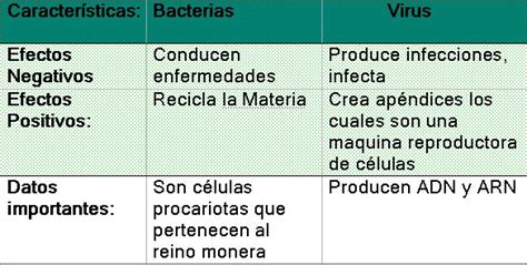 Cuadros Comparativos Entre Bacterias Y Virus Diferencias Y Semejanzas