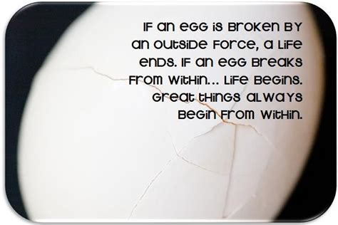 If An Egg Is Broken By An Outside Force A Life Ends If An Egg Breaks