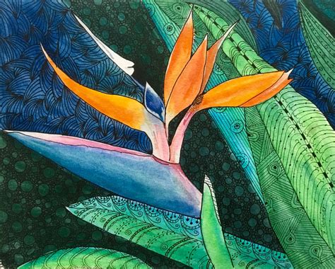 Bird Of Paradise Flower 8x10 Watercolor And Ink Painting Birds Of Paradise Flower Paiting