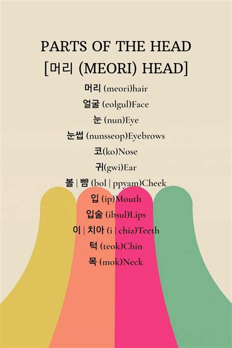 Parts Of The Bodyhead In Korean In 2020 Learn Korean