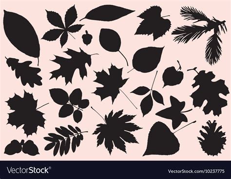 Autumn Leaves Silhouette Royalty Free Vector Image