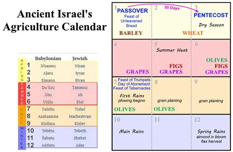 Ancient Israels Agriculture Calendar Ancient Israel Passover Feast