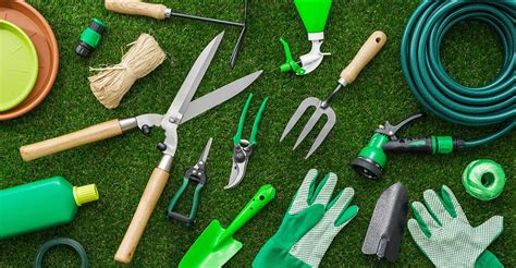 Top Tools For Budding Gardeners Chatter Cat