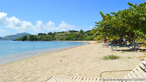 Oualie Beach Resort Nevis Nevis Saint Kitts And Nevis Hotels