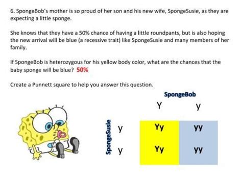 Mermaid man and barnacle boy iv contains examples of: Practice Punnett Squares with SpongeBob & the Gang; Middle School Science blog with lesson plans ...