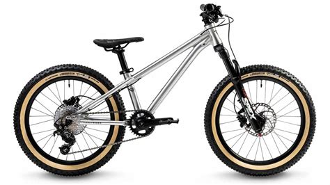 10 Best 20 Inch Mountain Bikes Your Child Will Love Rascal Rides