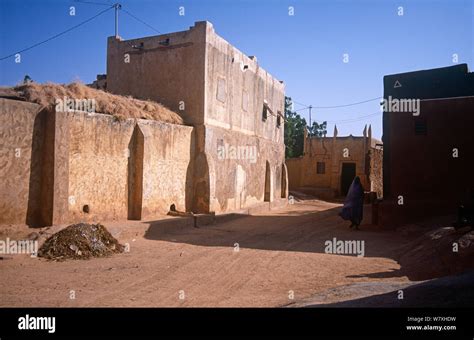 Traditional Hausa Architecture Mirriah Southern Niger 2005 Stock