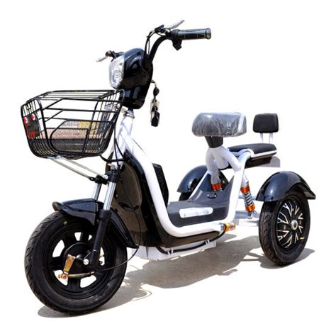 Chinese 3 Wheels Adult Size Electric Tricycle For Elderly Disabled For Sale China Elderly