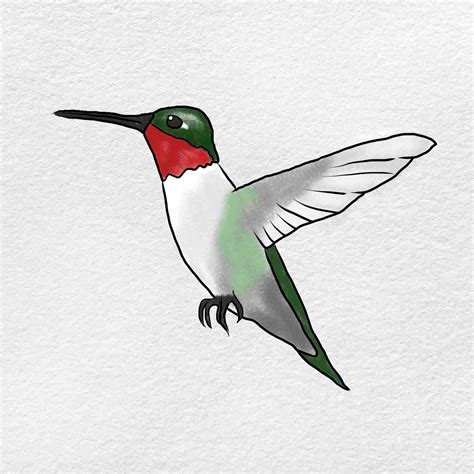 How To Draw A Hummingbird For Kids Step By Step Drawi