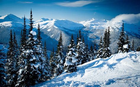 Whistler Wallpapers Top Free Whistler Backgrounds Wallpaperaccess