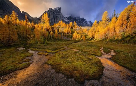 Mountains Trees River Autumn Stream Viewes Beautiful Views