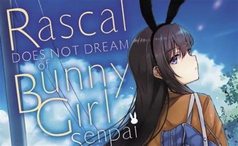 Rascal Does Not Dream Of Bunny Girl Senpai Has Fanservice