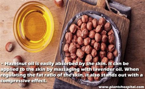 Hazelnut Oil Top Health Benefits Uses Warnings And More