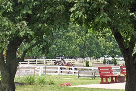Horse Park Of New Jersey April Events Tapinto