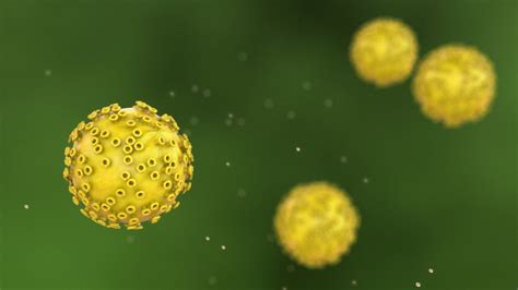 Papilloma Virus HPV Cause Rischi Prevenzione