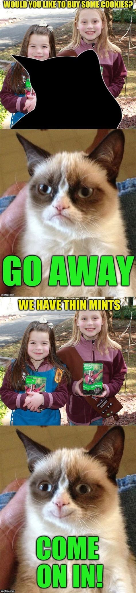 Just In Time For Girl Scouts Cookies Season Thanks To