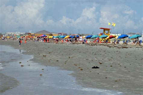 fecal bacteria on texas beaches houston public media