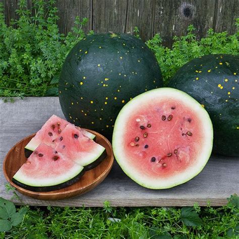 Organic Non Gmo Moon And Stars Watermelon
