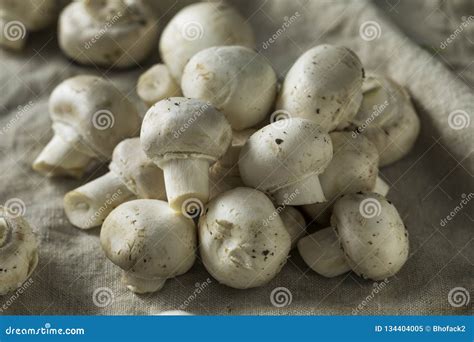 Raw Organic White Button Mushrooms Stock Image Image Of Edible