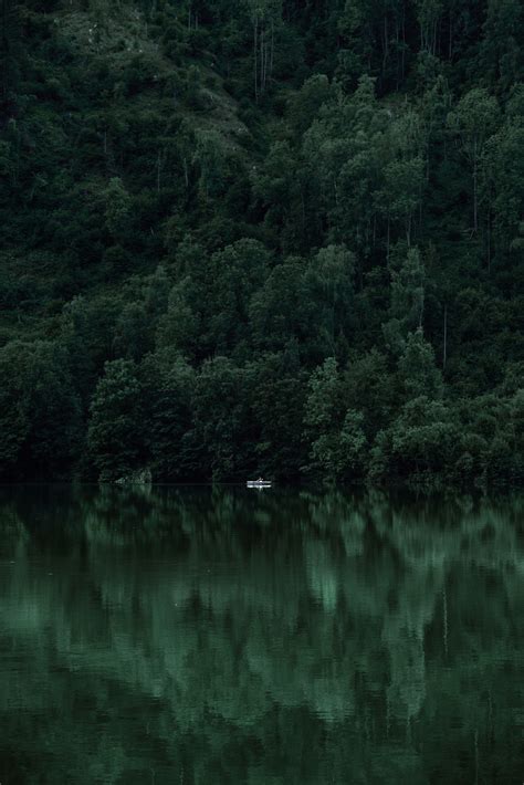Search your top hd images for your phone, desktop or website. Nature Dark Green Aesthetic Wallpapers - Wallpaper Cave