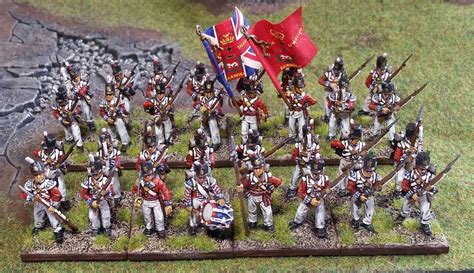 Perry British Napoleonic Infantry Coldstream Guards Completed 2t News