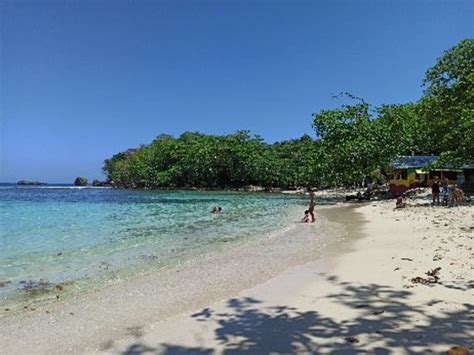 winifred beach port antonio 2020 all you need to know before you go with photos tripadvisor