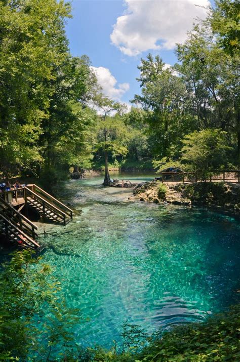 Madison Blue Spring State Park In Florida By Emma Renly Blue Springs