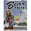 Bear Facts Vol 44 Issue 8 Early May 2017 By The  Issuu