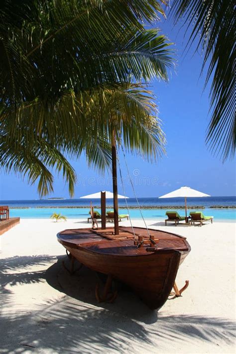 Wooden Boat Palm Trees And Pacific Ocean In Luxury Maldives Res Stock