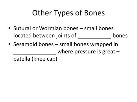 Ppt Types And Histology Of Bones Powerpoint Presentation Free