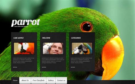 Birds Website Templates Free Download