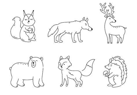 Premium Vector Set Of Outline Forest Animals Isolated