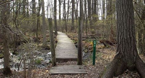 Trails At Yankee Springs Recreation Area Beckon Hikers From All Walks