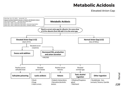 Causes Of Metabolic Acidosis With Elevated Anion Gap Grepmed