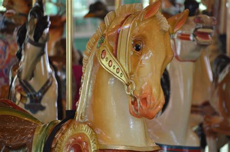 Carousel Horse Free Stock Photo Public Domain Pictures