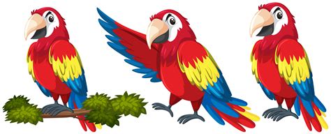 Parrot Cartoon Vector Art Icons And Graphics For Free Download