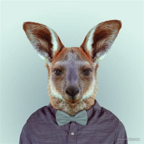 40 Beautiful Animal Portrait Photography Examples Zoo Portraits 2