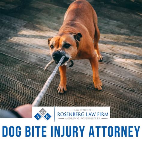Dog Bite Attorney Coral Springs Florida Rosenberg Law Firm