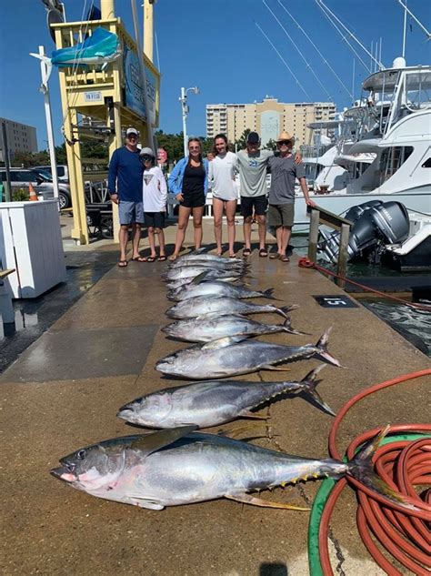 Awesome Job For A Few First Timers Backlash Sportfishing