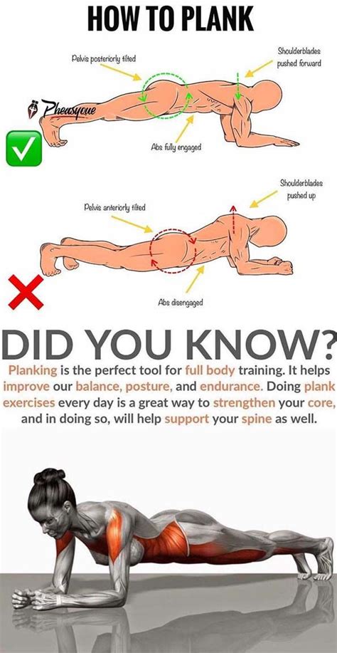 Min What Does Plank Exercise Do For The Body References Workout