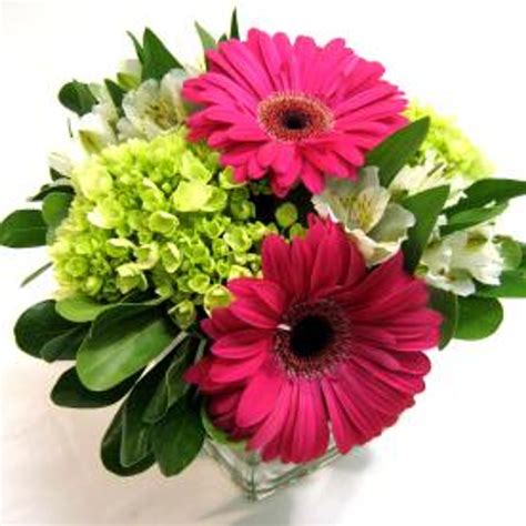 Concord Flower Shop City Wide Delivery In Concord Send Flowers Concord