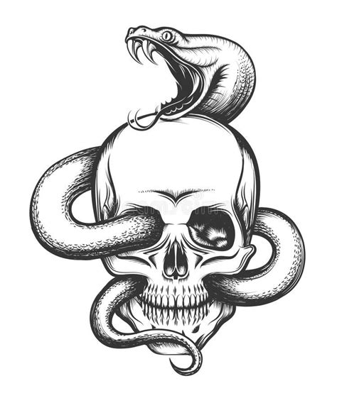 Easy Skull And Snake Drawing Musicpopartillustration