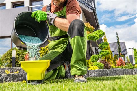 Fertilizing 101 How To Feed Your Lawn Ng Turf