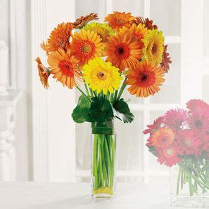 Jūs varat atrast sīkāku informāciju par just because flowers & gifts vietnē www.justbecauseflorist.com. Pleasant Grove Florist- Pleasant Grove Flower delivery ...
