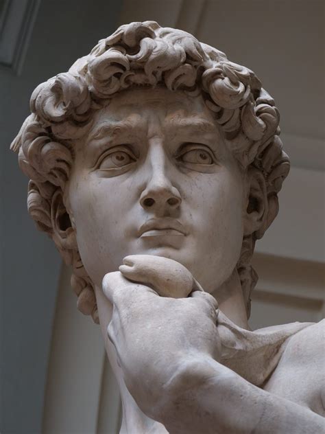 Michelangelo David Face