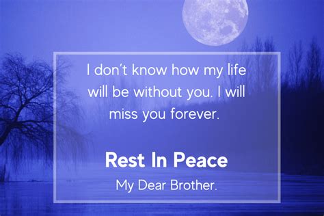 sympathy messages for loss of brother the art of condolence 2022