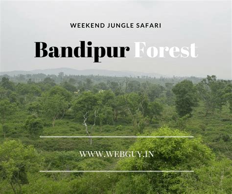 Jungle Safari In Bandipur Tiger Reserve Weekend Trip From Bangalore