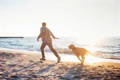 Geniet Samen Met Je Hond Van Een Vakantie Aan Zee Caenen