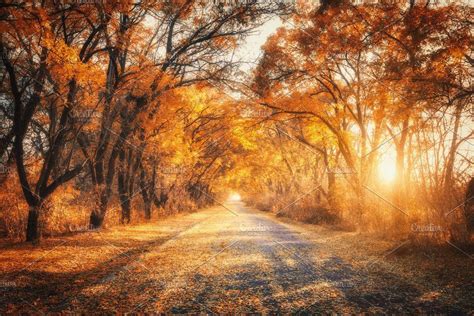 Autumn Forest With Country Road By Den Belitsky On Creativemarket New