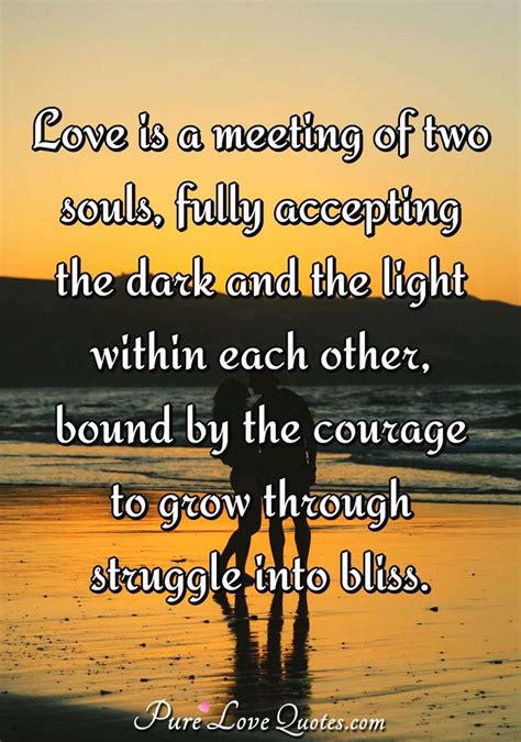 Two Souls Quote When Two Souls Meet Quotes Quotesgram One Body Two